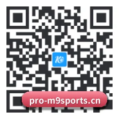 苹果访客专属 二维码